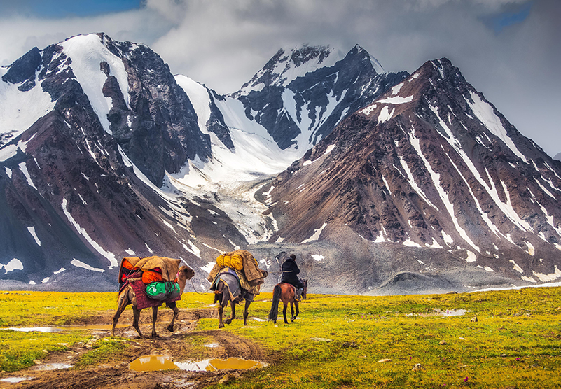 Camel caravan